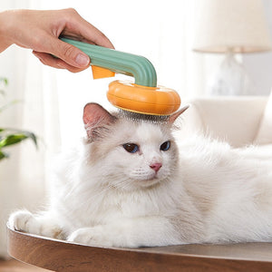 Brosse de toilettage citrouille pour chats