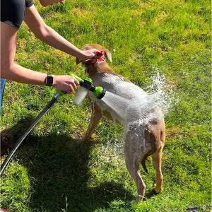 狗狗水療噴射