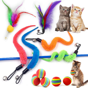 Jouets interactifs pour chats à plumes et balles