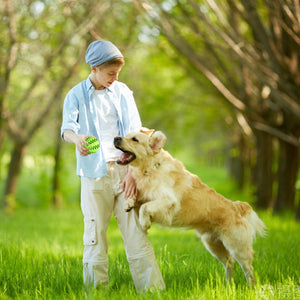 Jouet interactif en caoutchouc pour chien