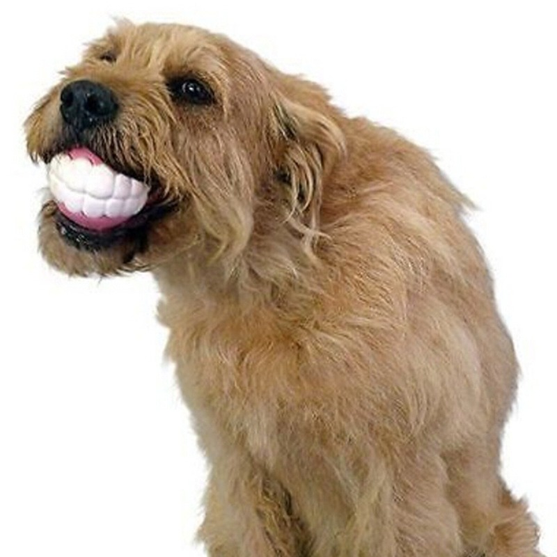 Silicone Chew Toy for Large Breeds