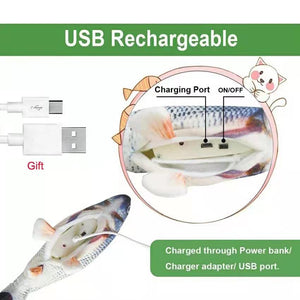 Jouet de poisson interactif avec chargeur USB pour chats