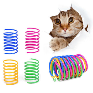 Funny Pet Spring Toy