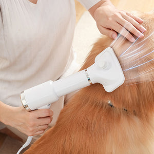 Sèche-cheveux portable 2 en 1 pour chien