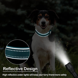 Traqueur de protection anti-perte pour chiens