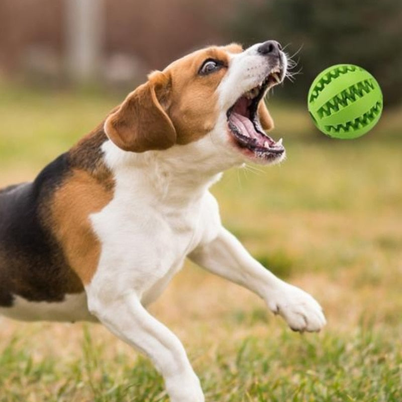 Jouet interactif en caoutchouc pour chien